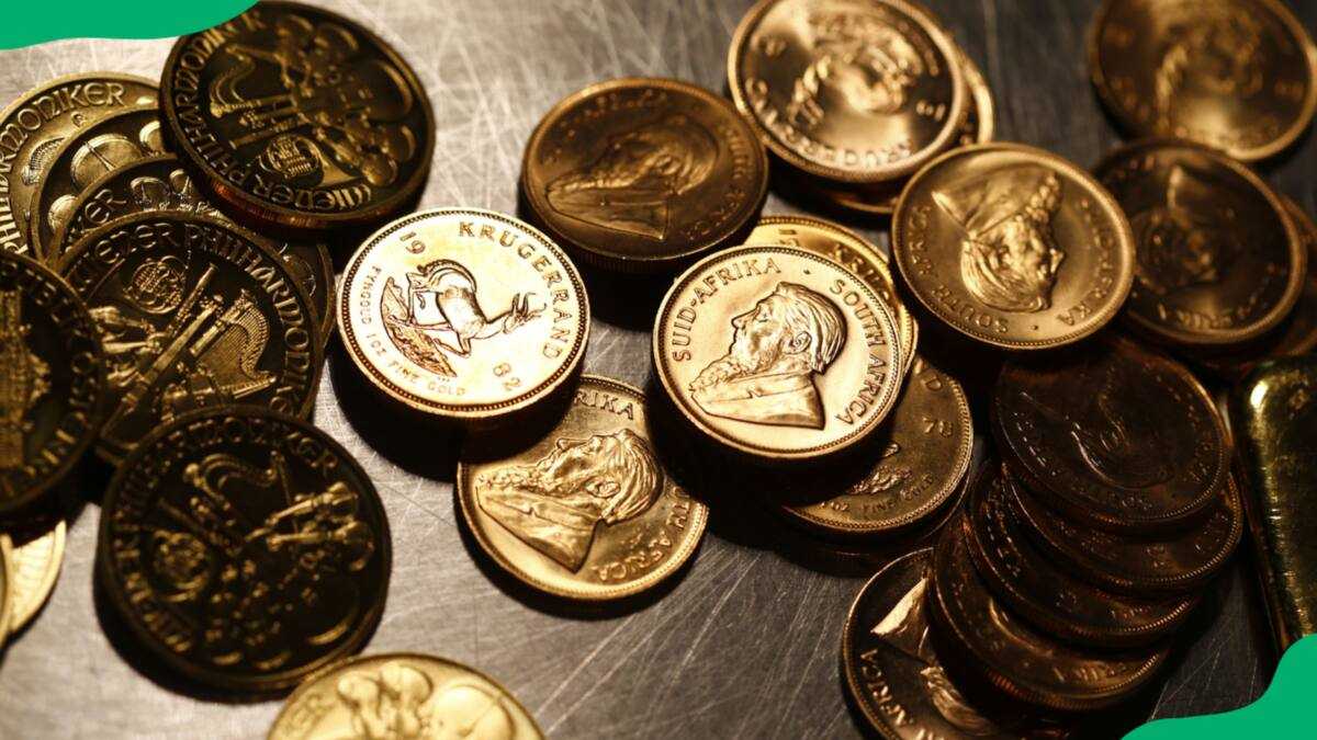 SA Coins